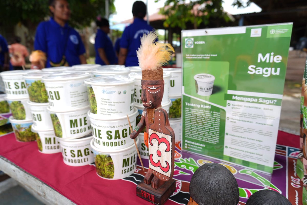 Celebrating traditions &amp; innovations💡

Papua's Masyarakat Adat Babrongko held their 1st Sago Festival yesterday w/ support from <a href="/kementan/">Kementerian Pertanian RI</a>, <a href="/NZinJakarta/">NZ Embassy Jakarta</a> &amp; <a href="/FAO/">Food and Agriculture Organization</a>🎊

Babrongko's sago processing house was also handed over to Masyarakat Adat's ownership 🤝

🔗 fao.org/indonesia/news…