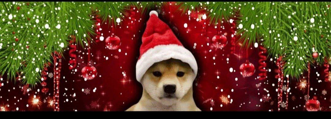 ๐๐จ๐ฅ๐ฅ๐๐ง๐ข ๐๐ข๐ข๐๐ฆ tweet media