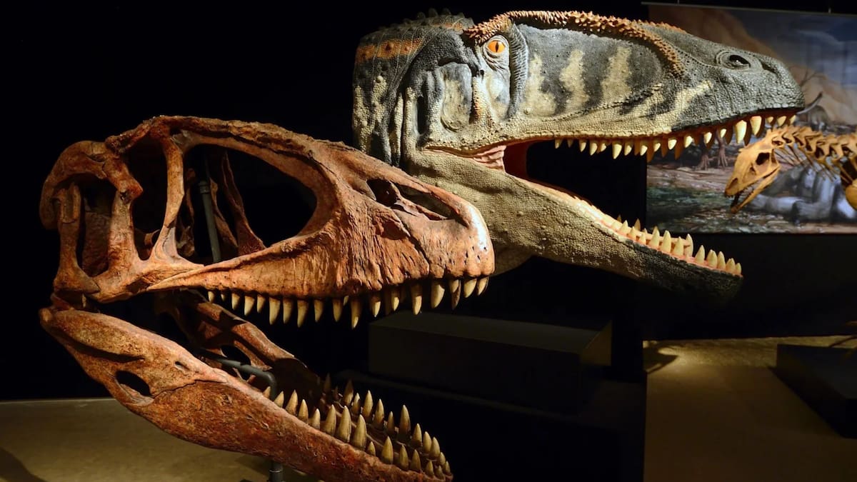 VerasNews's tweet image. #CienciaYNaturaleza🦖 Un hallazgo paleontológico sin precedentes podría transformar por completo nuestra comprensión de los dinosaurios🦕
veras.mx/hallan-fosil-d…
