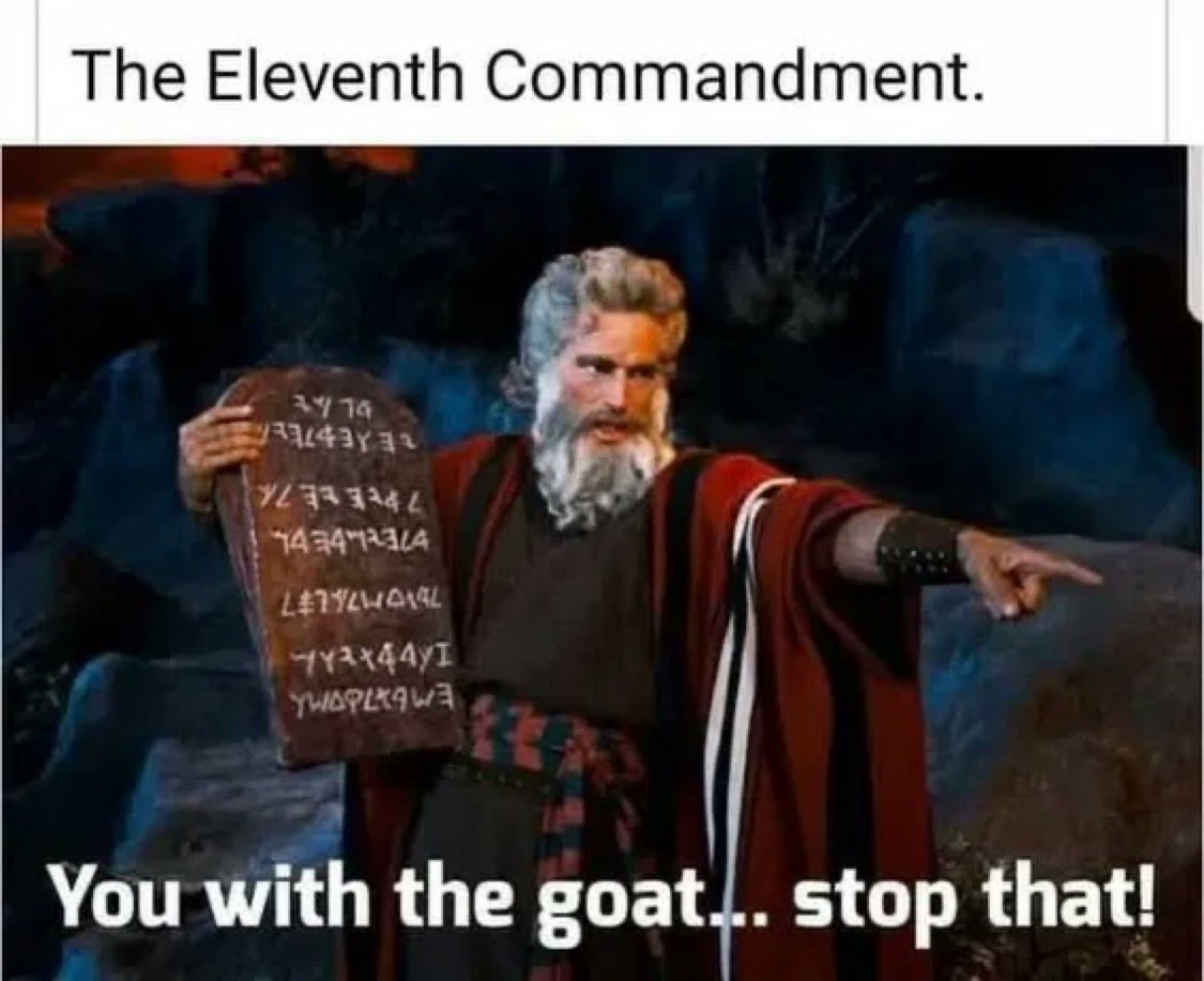 techdog's tweet image. Hump day in the Middle East has a different meaning peeps 😉😂