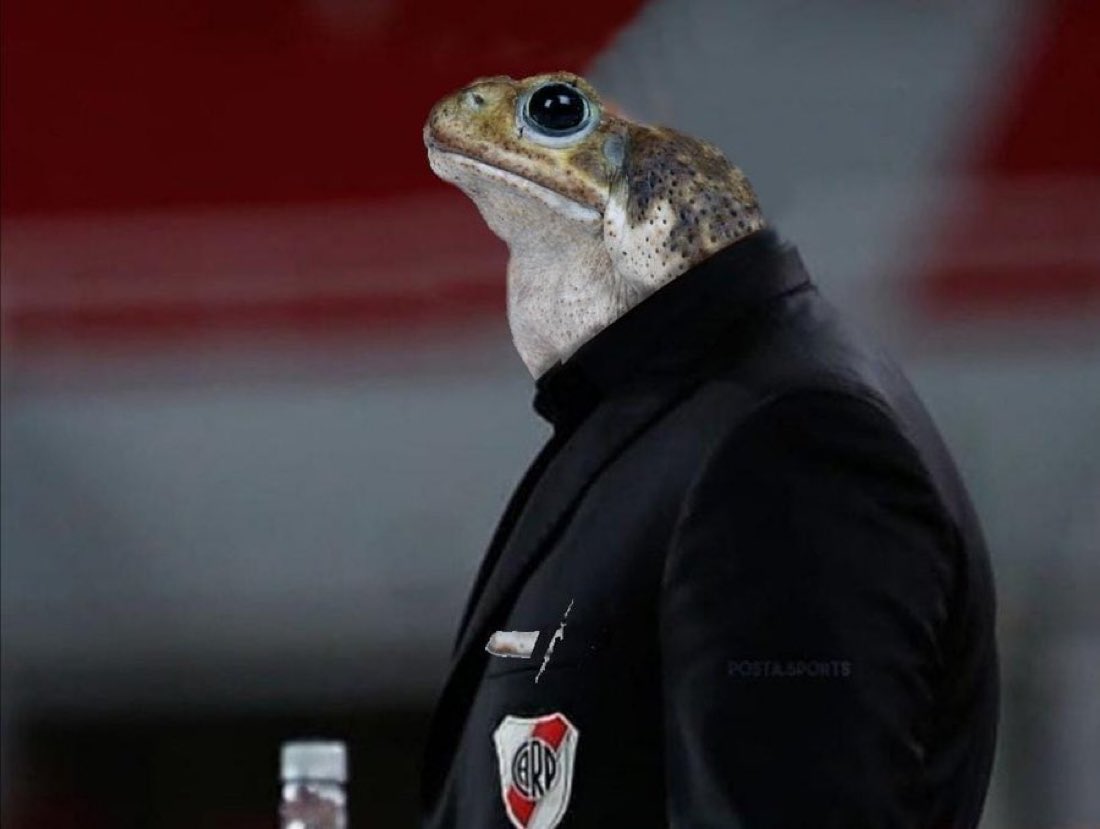 😂TODO YA VIMOS LOS MEMES DE GALLARDO POR ESO LES TRAIGO…

🧵🐸EL HILO DEFINITIVO TODOS LOS EDITS DE SAPARDO EN UN SOLO HILO!!!!

🔄Den Rt y like así se viraliza