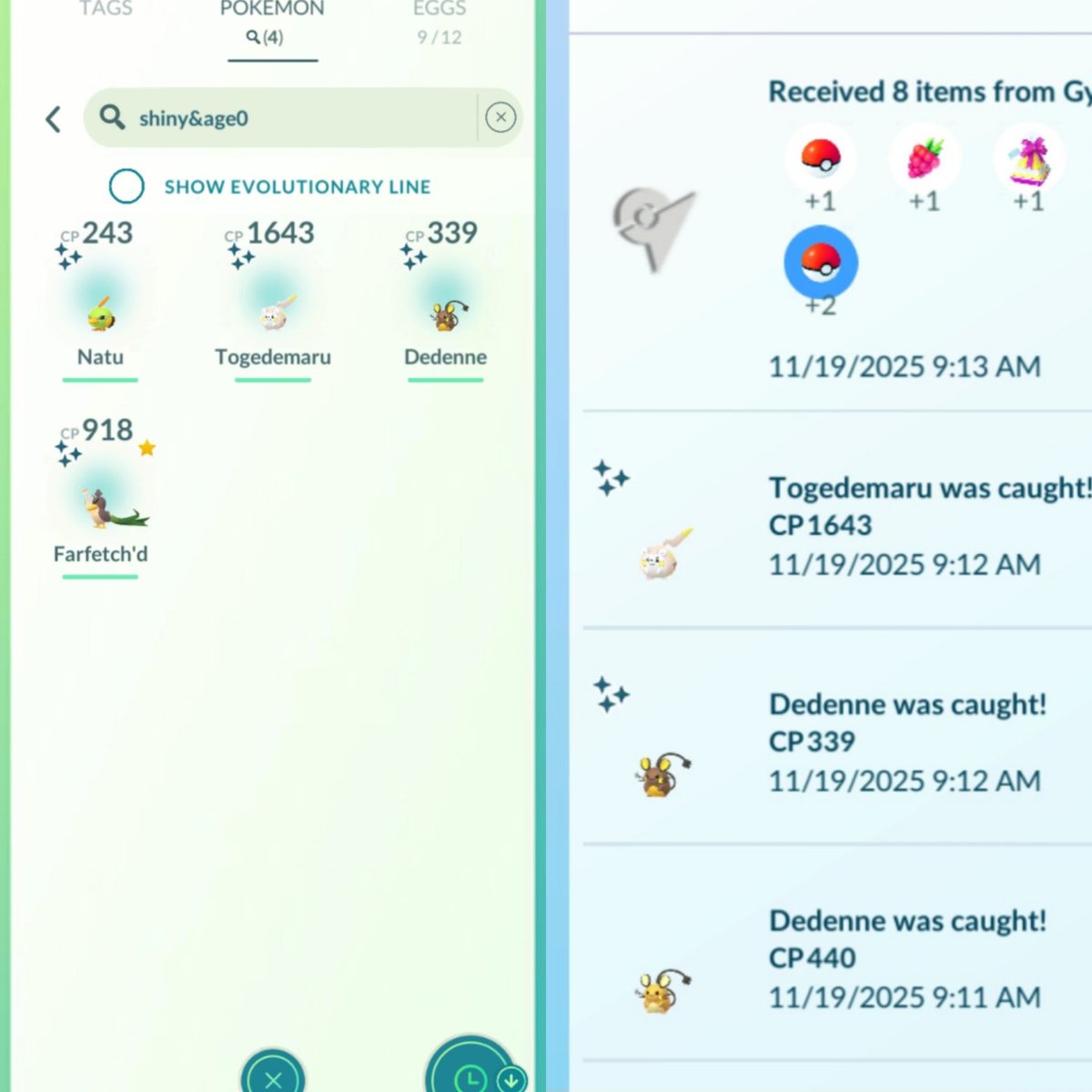 lblancelot's tweet image. Today in the wild with crazy back to back shiny catch...✨✨✨, hatch...✨✨✨🐣 and hundo Morpeko from field research...💯🔬 #Shiny #ShinyPokemon #PokemonGO #PokemonGOApp #Hundo
