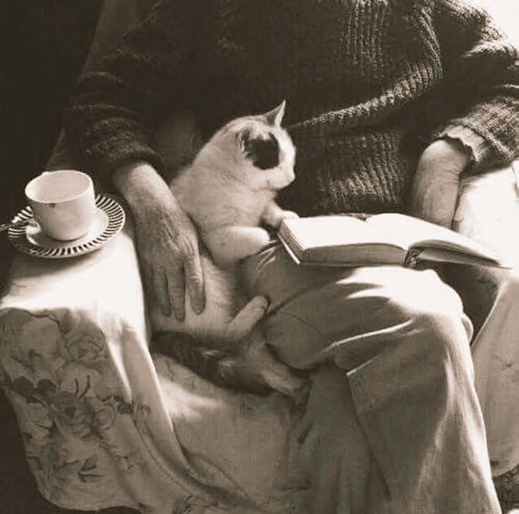 "Hay millones que desean la 
inmortalidad, y luego no saben 
que hacer un domingo por la 
tarde cuando llueve".

             - Susan Ertz