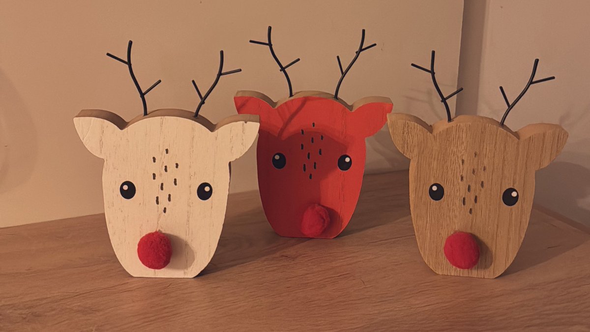 Bellecitas del dollar 🦌❤️