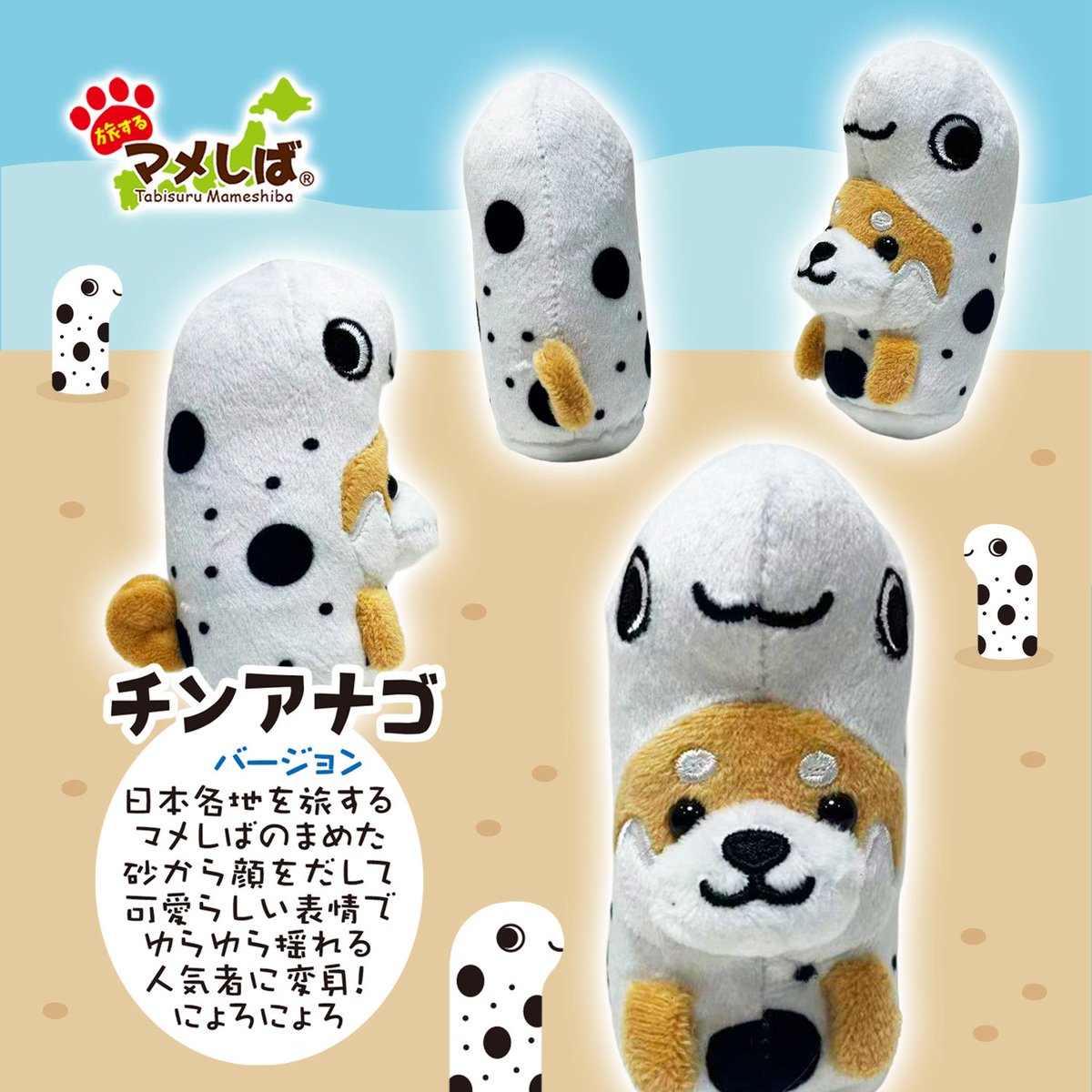 海の仲間バージョンから新メンバーが登場！！ ⁡ ✨チンアナゴ