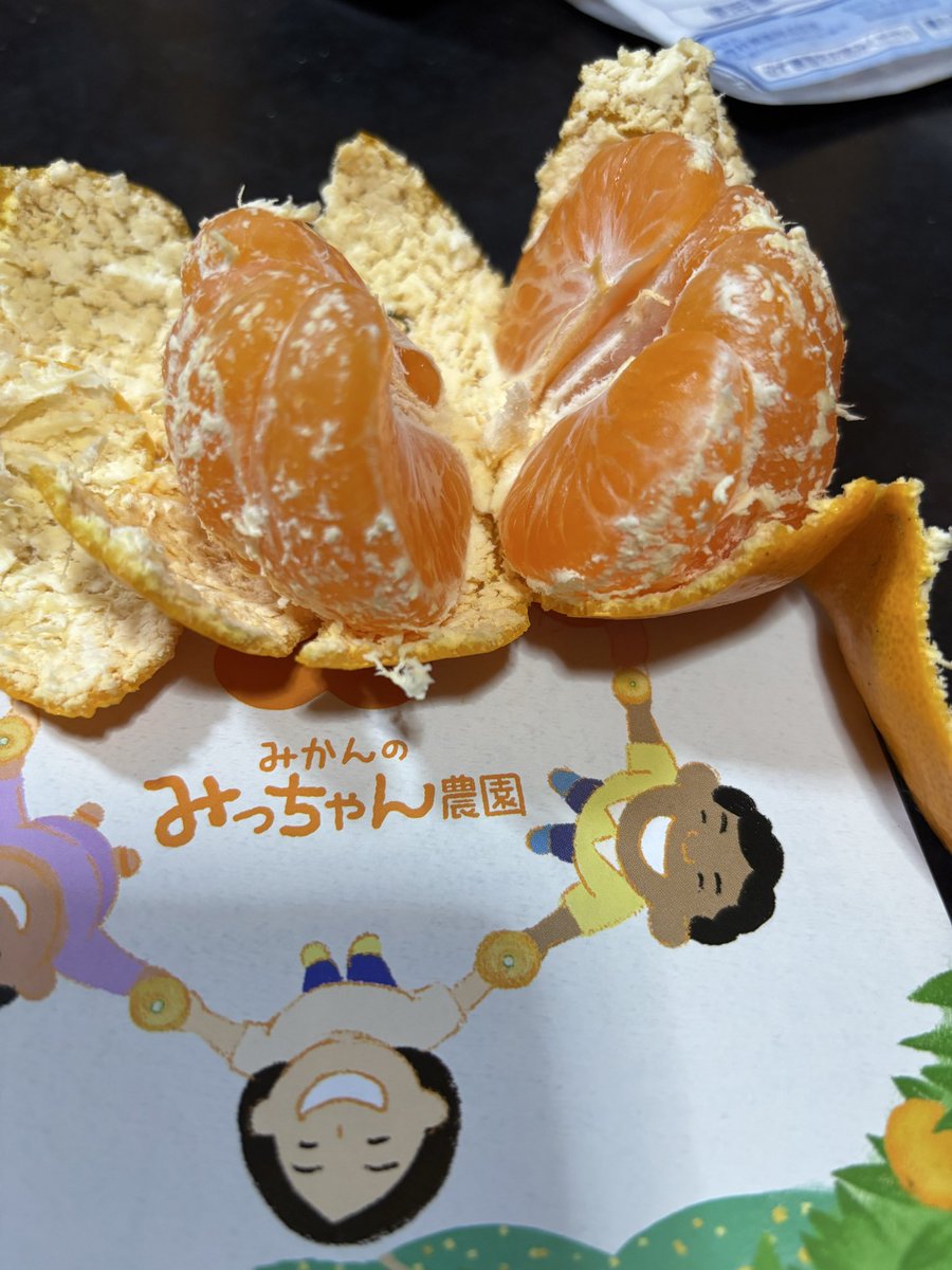 通販の虎 (@tsuhannotora) / Posts / X