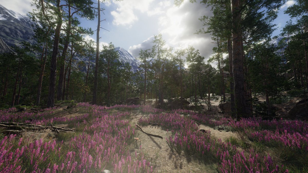 Bradlee1011's tweet image. World name: Mountain Lake V․0․1
By: ReversedFall
Platform: PC

#VRChat #VRChat_world紹介