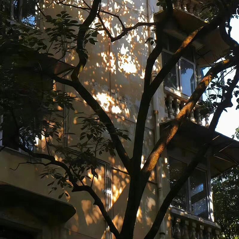 SelectorG5's tweet image. 滨州 🤌