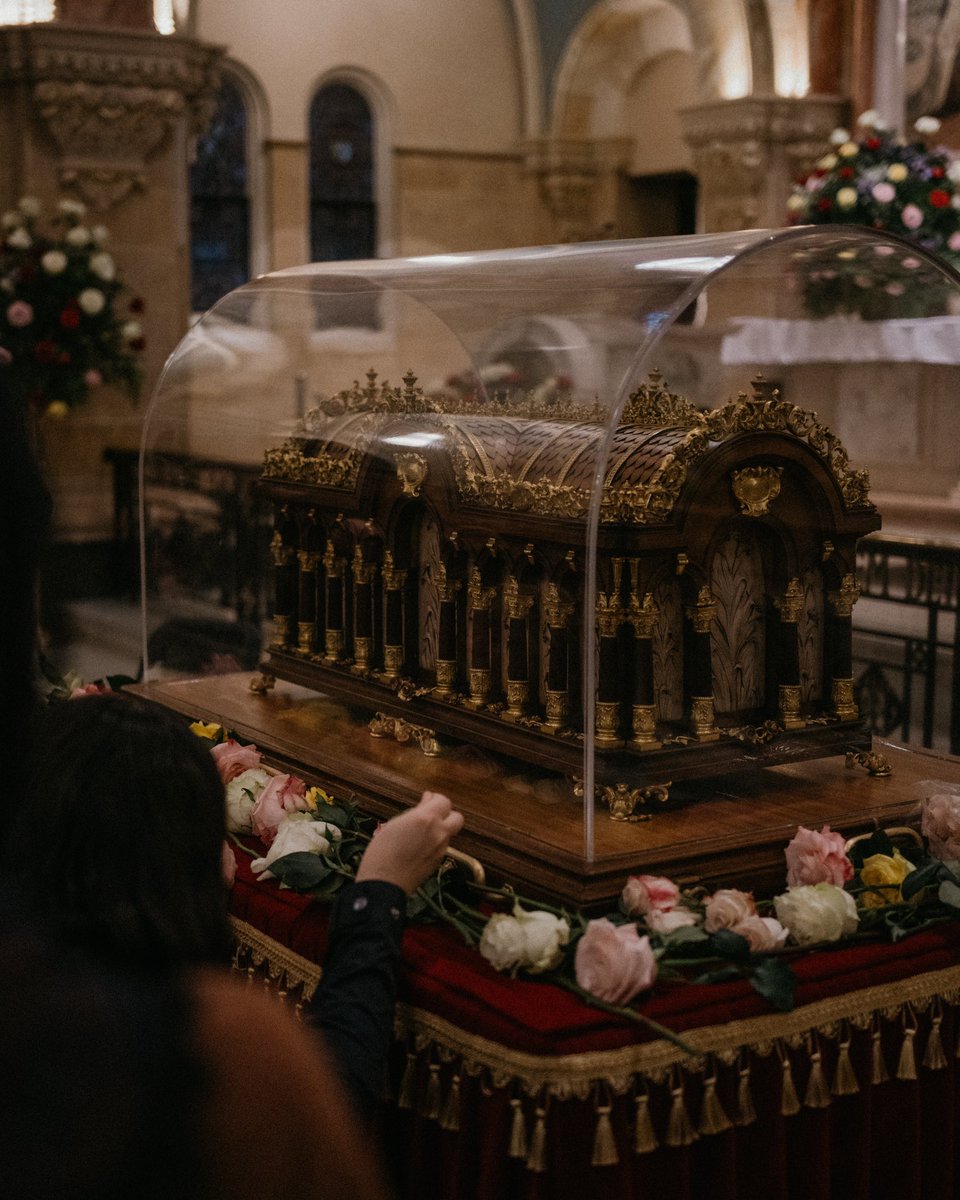 Clare Sheaf tweet media