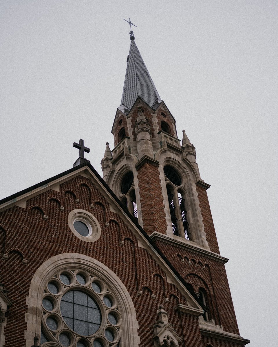 Clare Sheaf tweet media