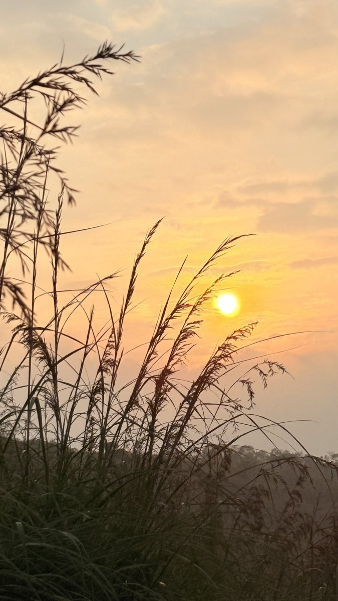 sajipeter tweet picture