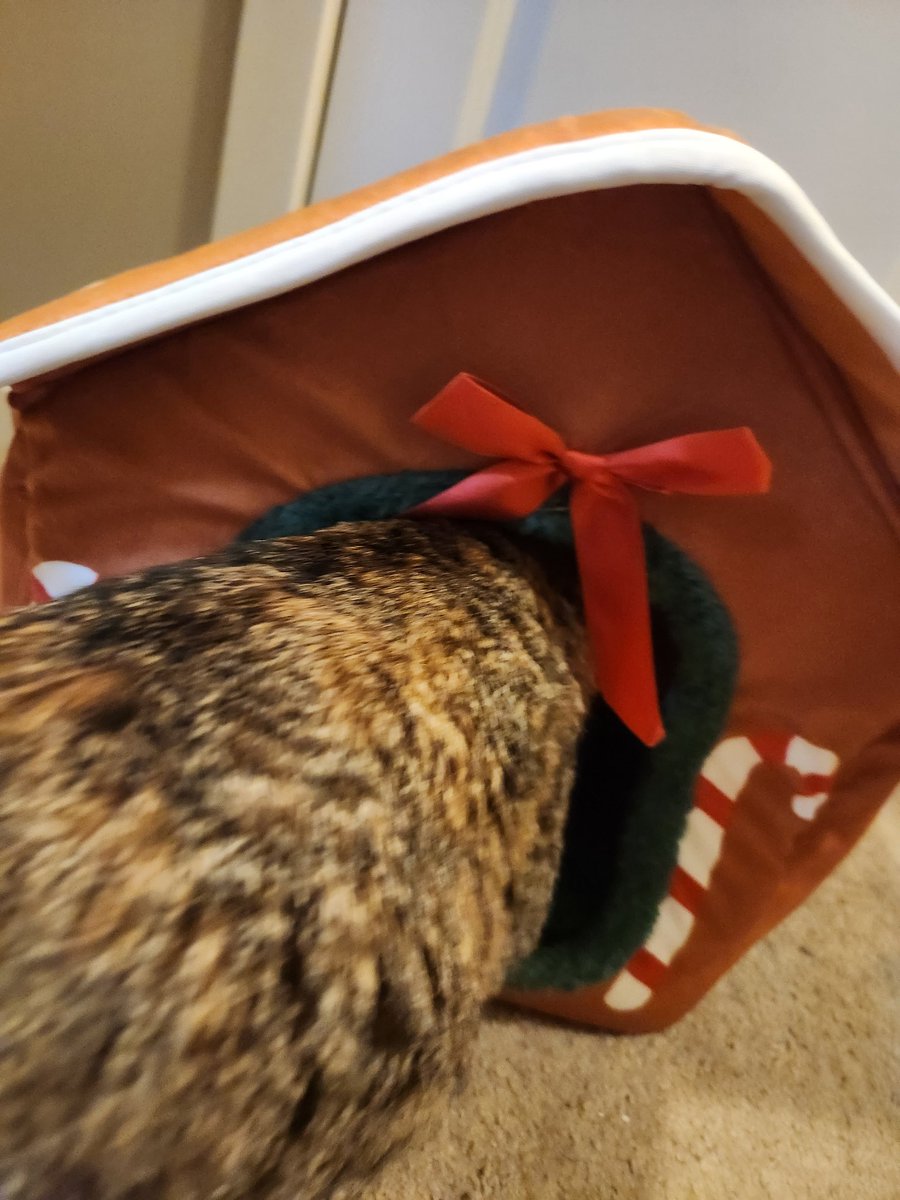 floffyeevee's tweet photo. we Are  loving ar new ,,  Howse🎄 https://t.co/j2LWXy1de0