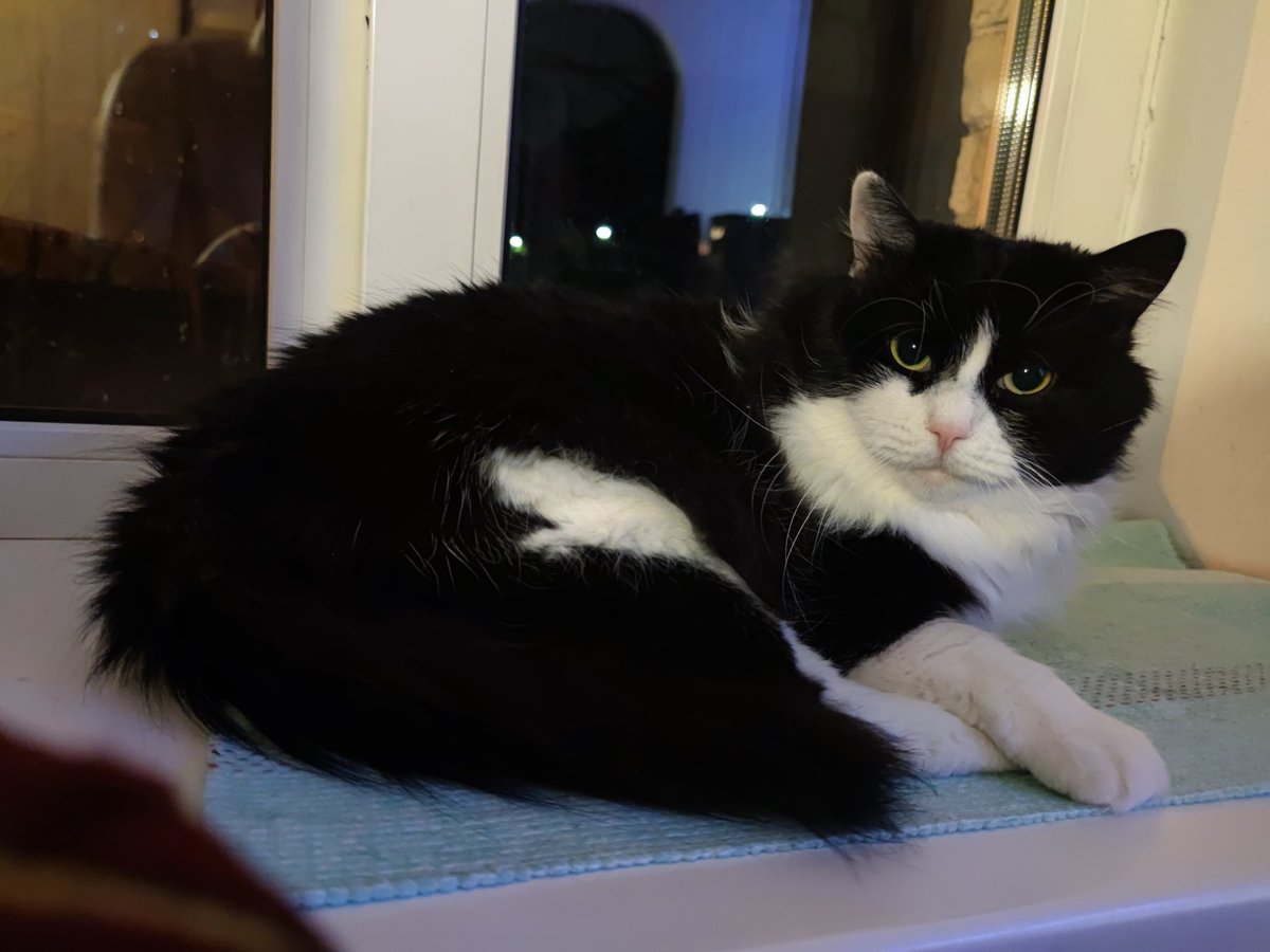 <a href="/Disfosgen/">Disfosgen</a> <a href="/avocado2288/">Angry_Avocato🥑🐧</a> <a href="/KorhevKorhev1/">Васи́ль Кук 🇺🇦</a> <a href="/buch10_04/">10 квітня</a> <a href="/JarujLew/">Явір</a> <a href="/ZxvHqR89tGkRuqj/">Олександр Бузько</a> <a href="/WndrflTimes/">Неочевидний тютюнофоб</a> <a href="/volodarskijo/">Олег Володарський</a> <a href="/KnightOleksandr/">Oleksandr Knight 🇺🇦</a> <a href="/pivtoracka/">Півторачка</a> Gute Nacht!

Es war ein schlechter Tag für uns.