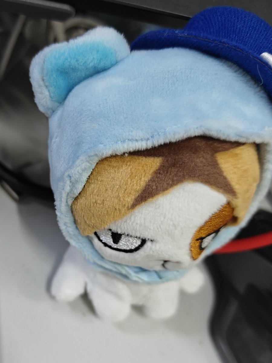 🍪✨ (@matsusania_) on Twitter photo 