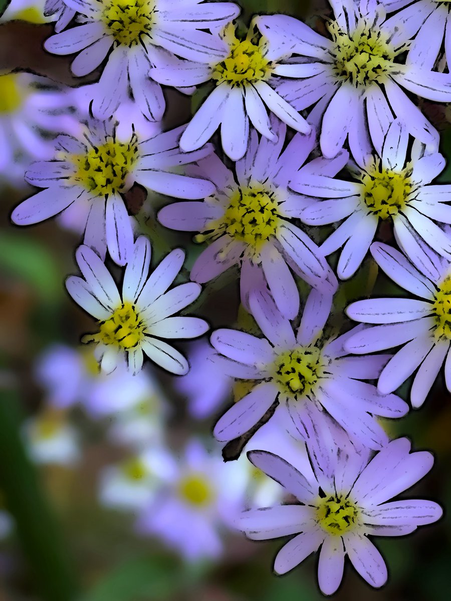 saylazy3's tweet image. 秋色ハンティング🚶‍♀️🍁
#紅葉 #散歩