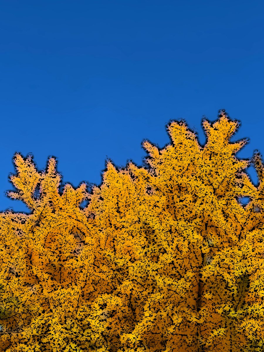 saylazy3's tweet image. 秋色ハンティング🚶‍♀️🍁
#紅葉 #散歩