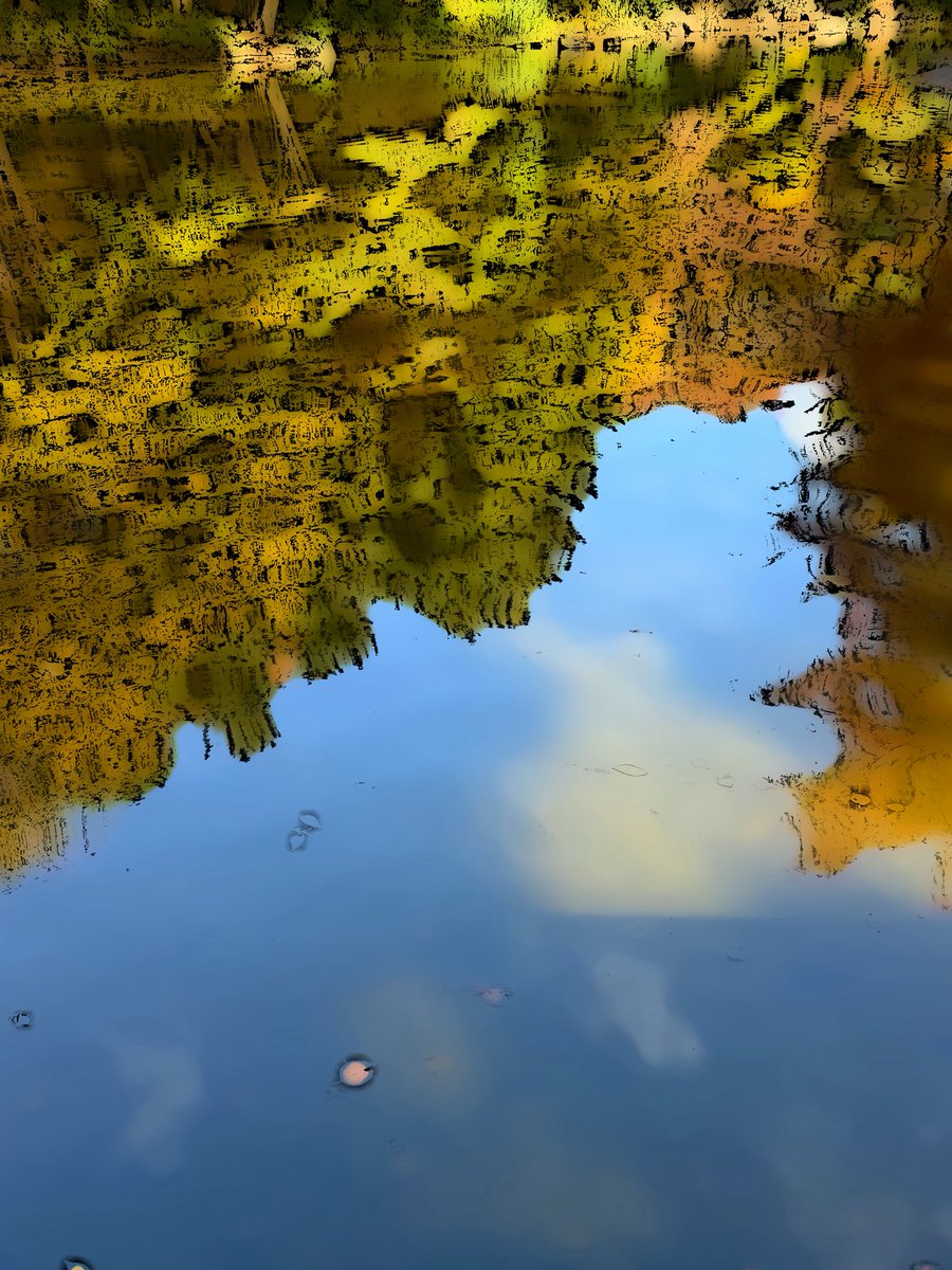 saylazy3's tweet image. 秋色ハンティング🚶‍♀️🍁
#紅葉 #散歩