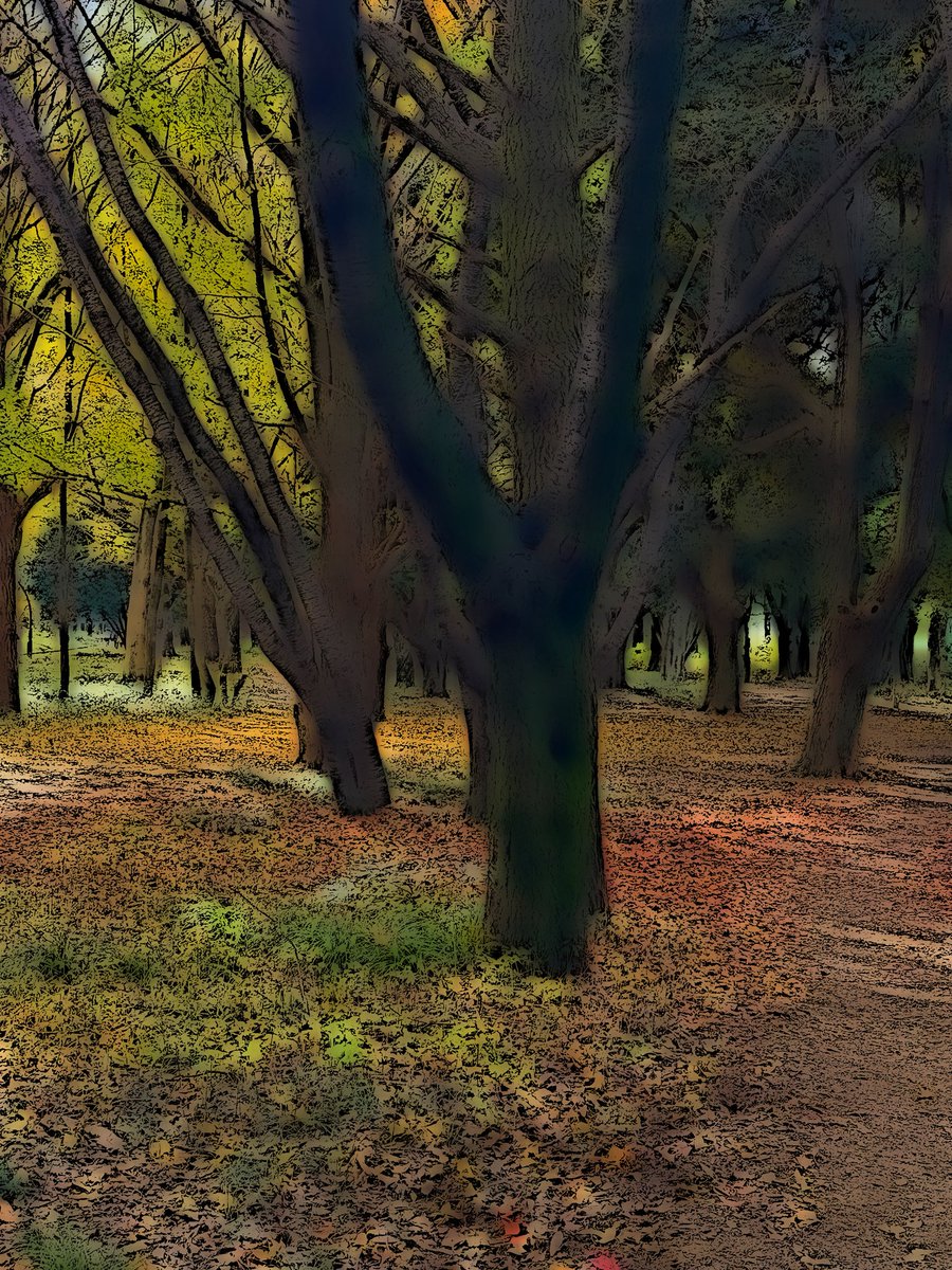 saylazy3's tweet image. 秋色ハンティング🚶‍♀️🍁
#紅葉 #散歩