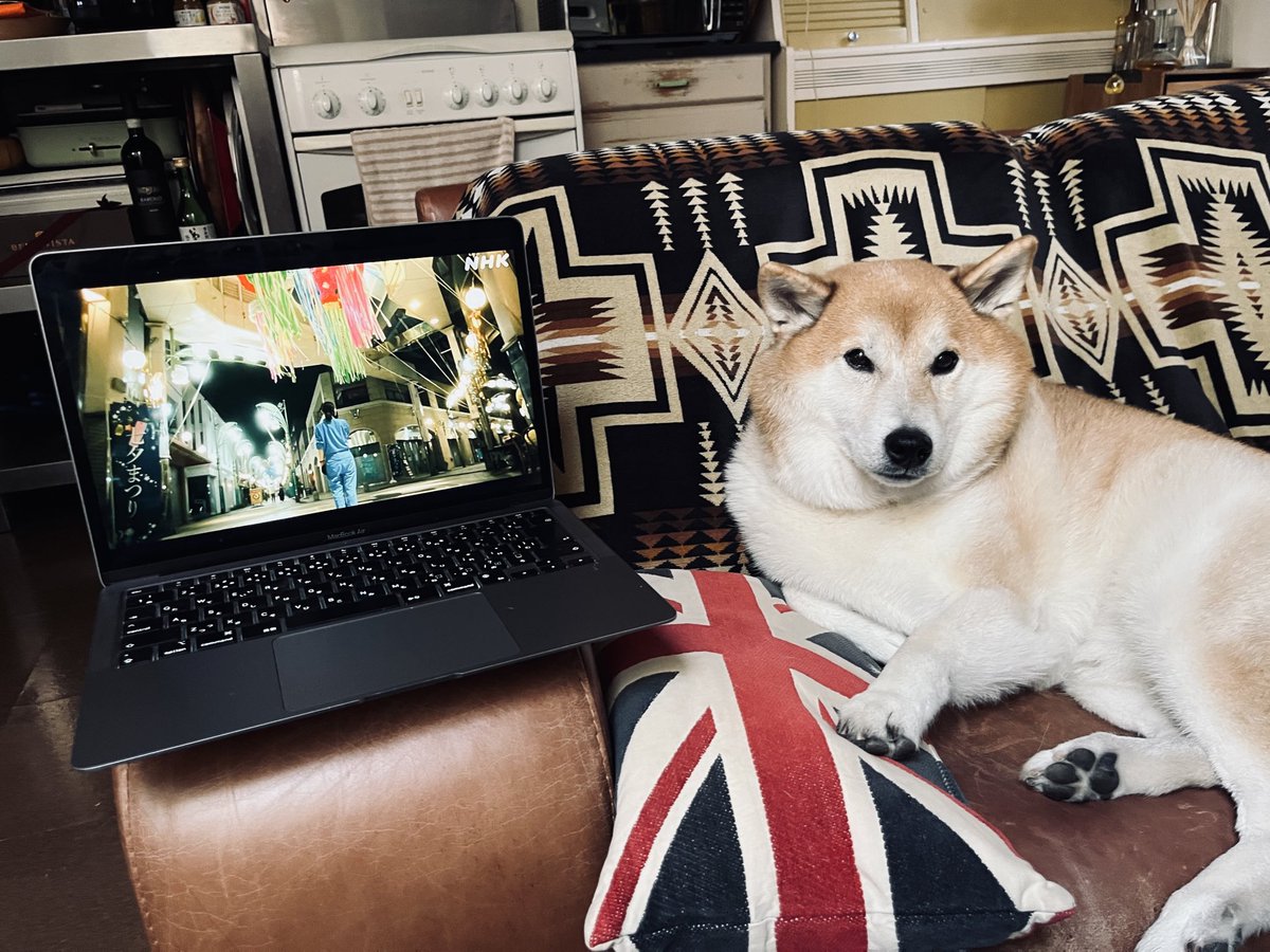 bubbledept's tweet image. ひらやすみ10話　今年のベストかも