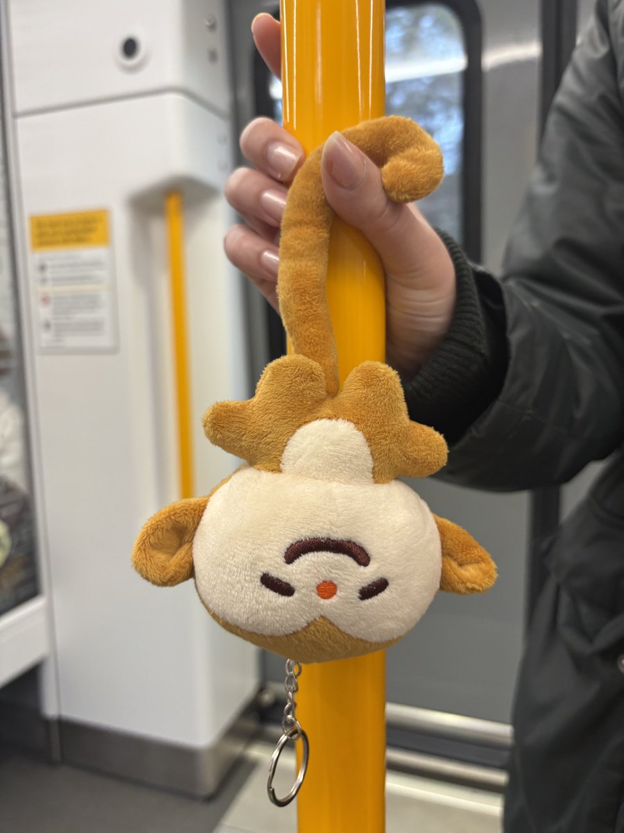 CAMI 🐿✨🌻🇵🇪 tweet media