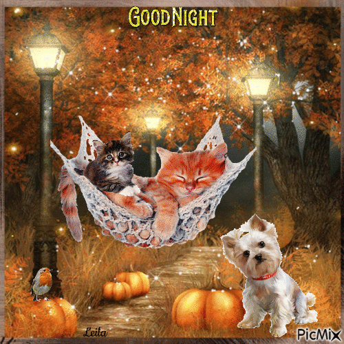 barbiesway's tweet image. 𝗚𝗼𝗼𝗱 𝗡𝗶𝗴𝗵𝘁🌛⭐️God bless, rest well &amp;amp; sweet dreams🙏💤 #GoodNightX
“Let gratitude be the pillow upon which you kneel to say your nightly prayer” Maya Angelou
“Life always offers you a second chance. It’s called tomorrow” Dylan Thomas
“I like the night. Without the dark,…
