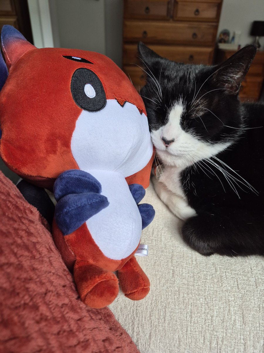 lu_net_'s tweet photo. @crimzonruze In return, my sweet girl using the ruzader as a pillow https://t.co/8RBlsYWPEc