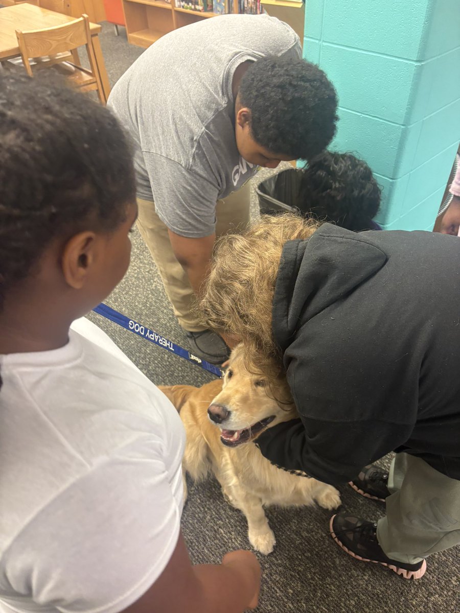 Noe Middle School Library tweet media