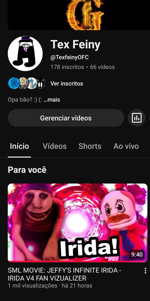 TexFeiny_YT tweet media