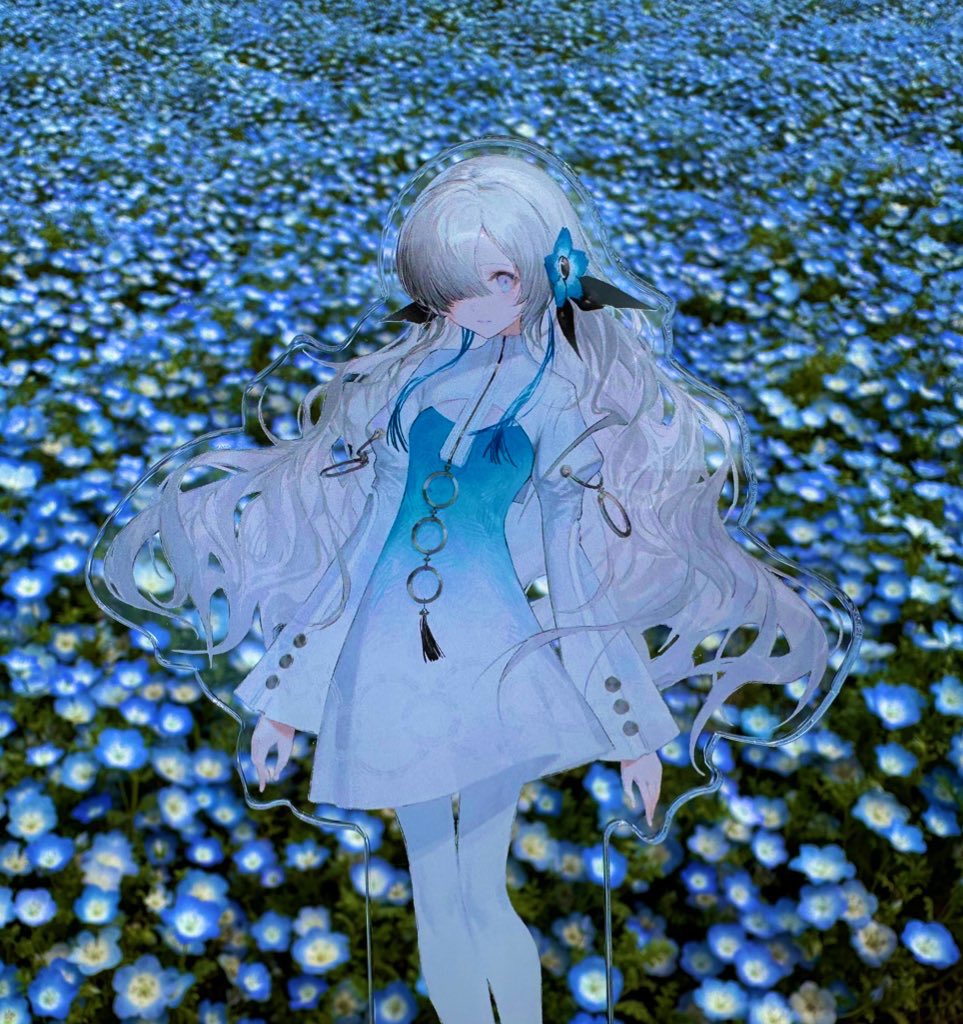 ネモフィラが咲いてる公園で撮った ヰ世界情緒は偏在するシリーズです