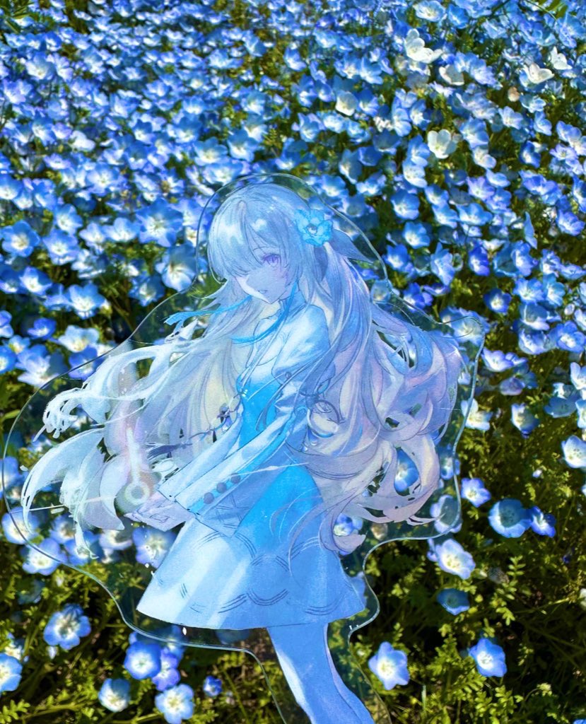 ネモフィラが咲いてる公園で撮った ヰ世界情緒は偏在するシリーズです