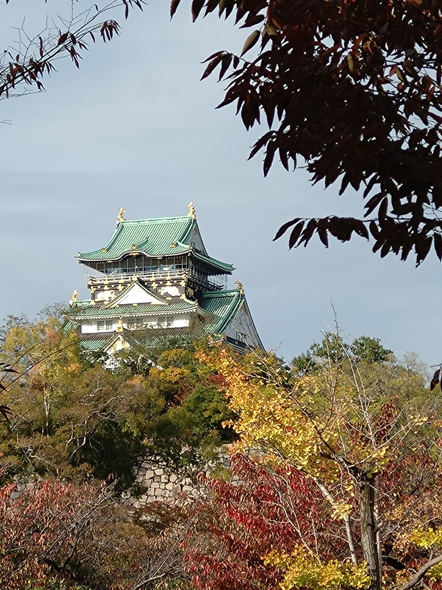 TYAMII001's tweet image. フェスティバルホールのクリスマスツリー🎄
次の日は大阪城に。
階段がキツうござりました💦
意外と駅から遠かったので帰りは周回しているトレイン乗って駅まで帰りマスタ😺
楽しかったよ。トレイン。
お土産に、たこパティエなるものを買ってみた。
まだ食べていないけど〜🤤