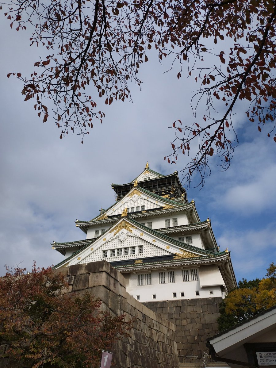 TYAMII001's tweet image. フェスティバルホールのクリスマスツリー🎄
次の日は大阪城に。
階段がキツうござりました💦
意外と駅から遠かったので帰りは周回しているトレイン乗って駅まで帰りマスタ😺
楽しかったよ。トレイン。
お土産に、たこパティエなるものを買ってみた。
まだ食べていないけど〜🤤