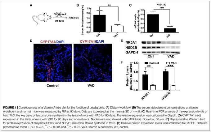 Image in tweet by Analyze & Optimize