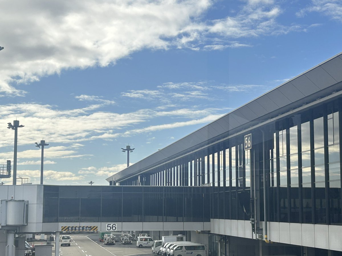 成田着✿ﾟ❀.(*´▽`*)❀.ﾟ✿