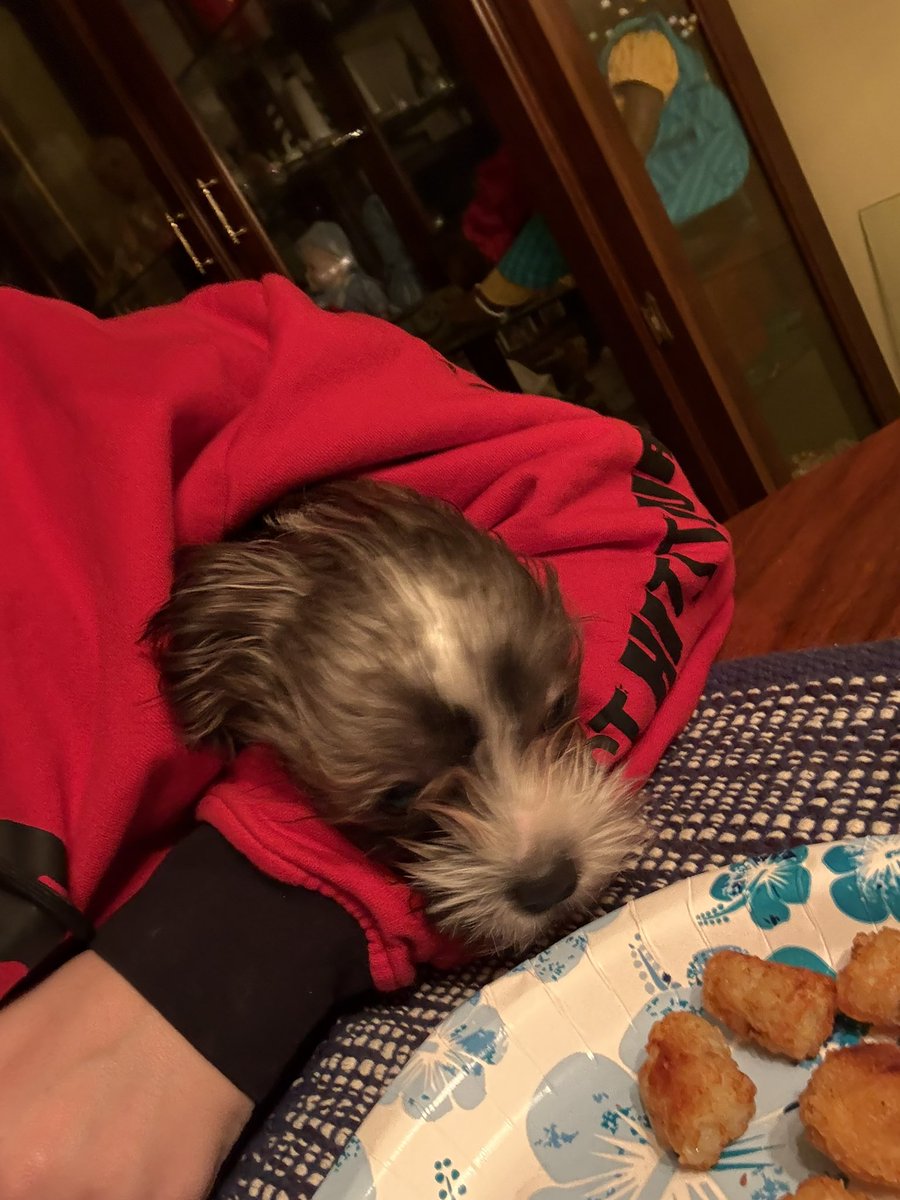 RealEmeraldCity's tweet photo. i just wanna eat my food 😂🙃 https://t.co/fdaU0rkker