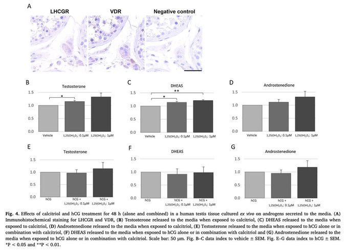 Image in tweet by Analyze & Optimize