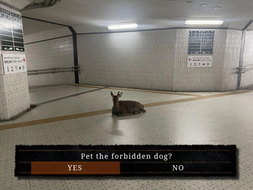 Deerpostss's tweet image. 