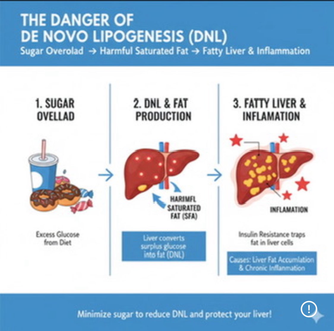 ➡️ The saturated fat you eat isn’t the same as the saturated fat your liver manufactures — they act very differently in your body.

➡️ Saturated fat made through De Novo Lipogenesis (DNL) is the harmful kind — it’s produced from sugar overload and drives liver fat and