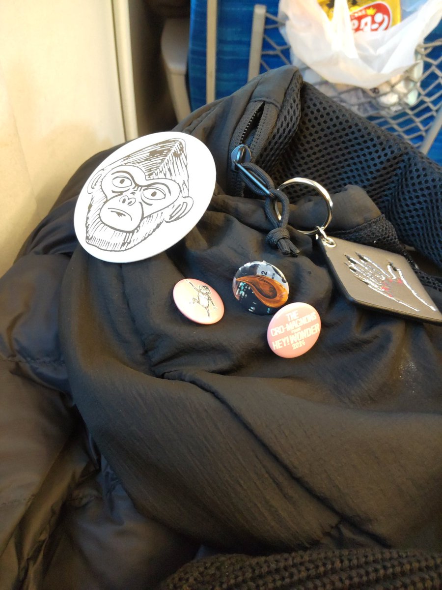 ザ・クロマニヨンズ