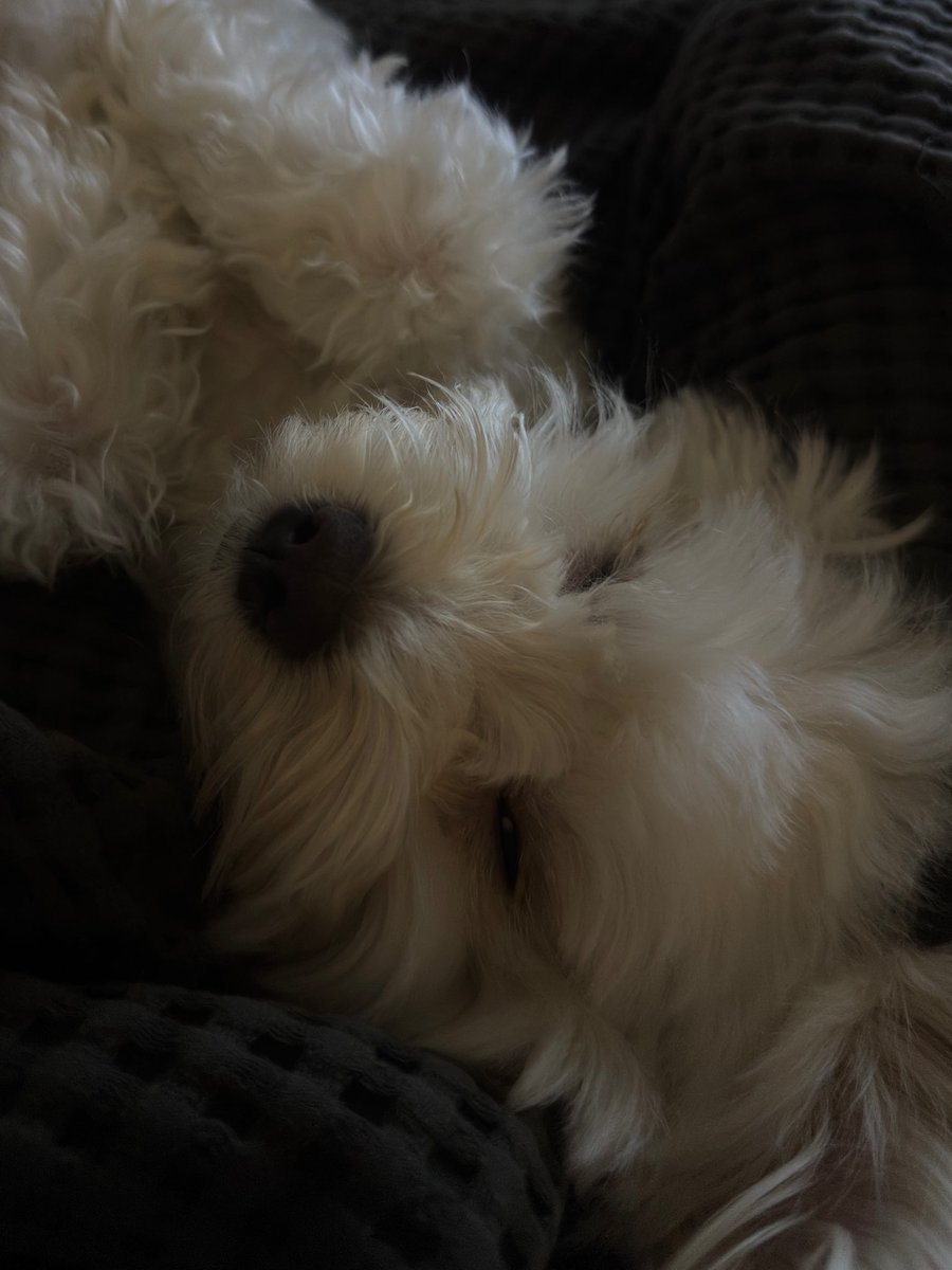 Nate Porcalla (@bgyo_nate) on Twitter photo 