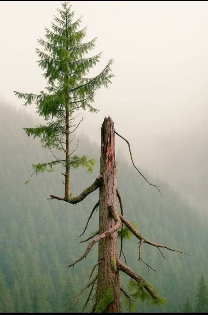 मित्रों दृढ़ संकल्प मजबूत होना चाहिए.. 
जिंदगी कहीं से भी शुरू हो सकती है