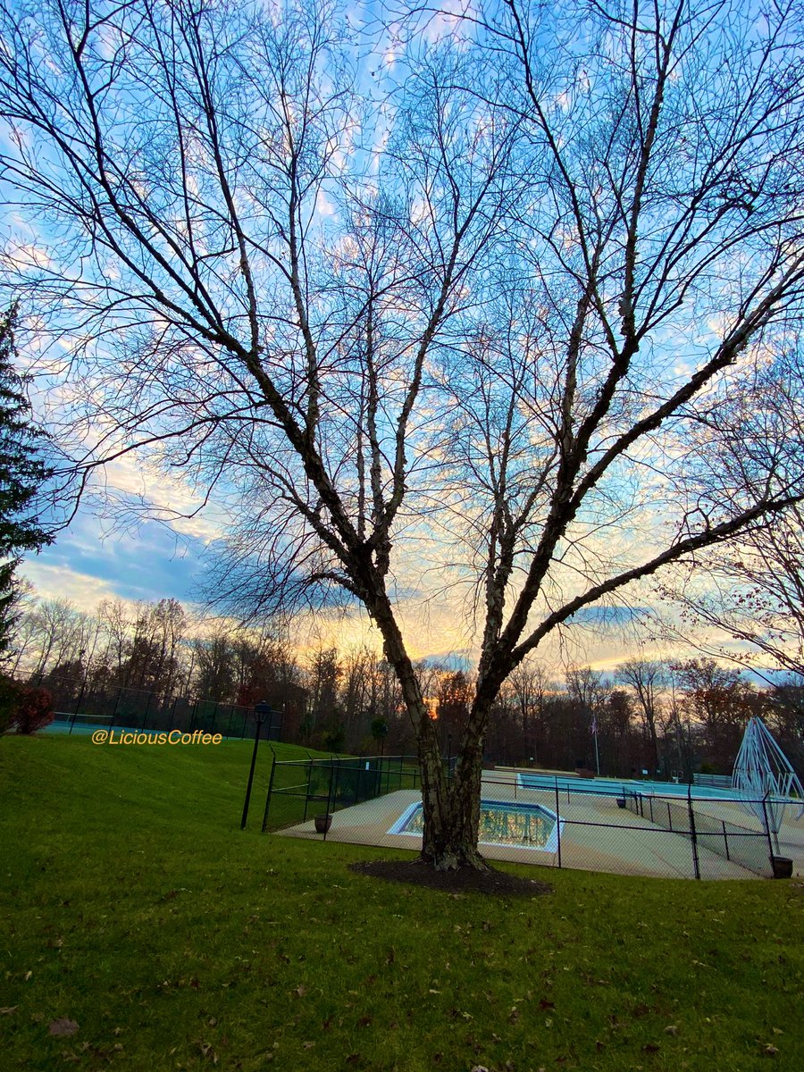 LiciousCoffee's tweet image. The 🌎 is full of amazing contents, see it, recognize it, create IT—find Art in Nature.

💛🩵🧡 #Fall Sunset 🍁🌅🍂 #FallLeaves #FallVibes 
#Nature #NaturePhotography #Photography #PhotographyIsArt #Tree #Park #NatureWalk #NatureLovers #Trees #sunset #SunsetPhotography