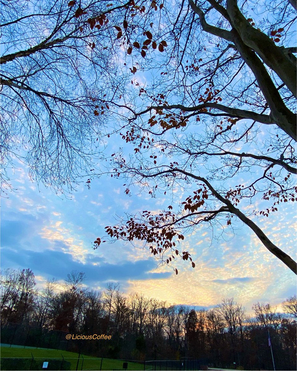 LiciousCoffee's tweet image. The 🌎 is full of amazing contents, see it, recognize it, create IT—find Art in Nature.

💛🩵🧡 #Fall Sunset 🍁🌅🍂 #FallLeaves #FallVibes 
#Nature #NaturePhotography #Photography #PhotographyIsArt #Tree #Park #NatureWalk #NatureLovers #Trees #sunset #SunsetPhotography