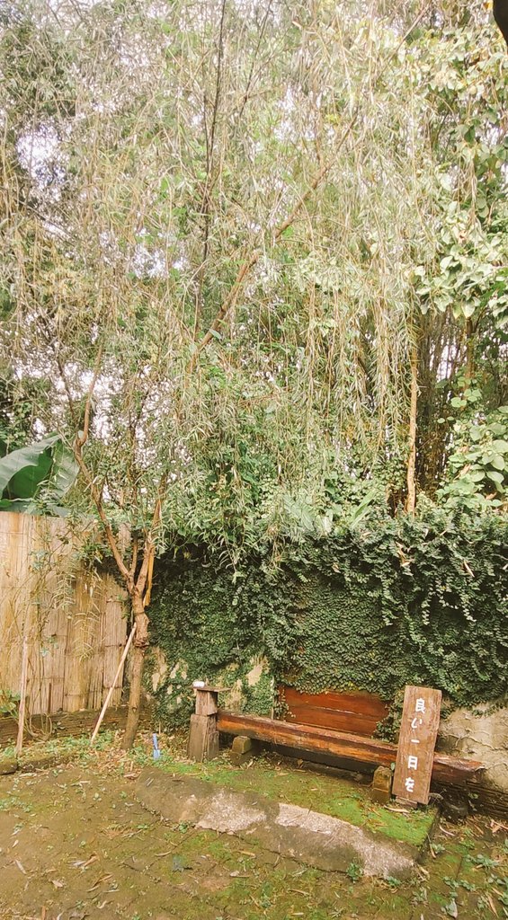 Zaab Eli Der (@zaabelider) on Twitter photo 