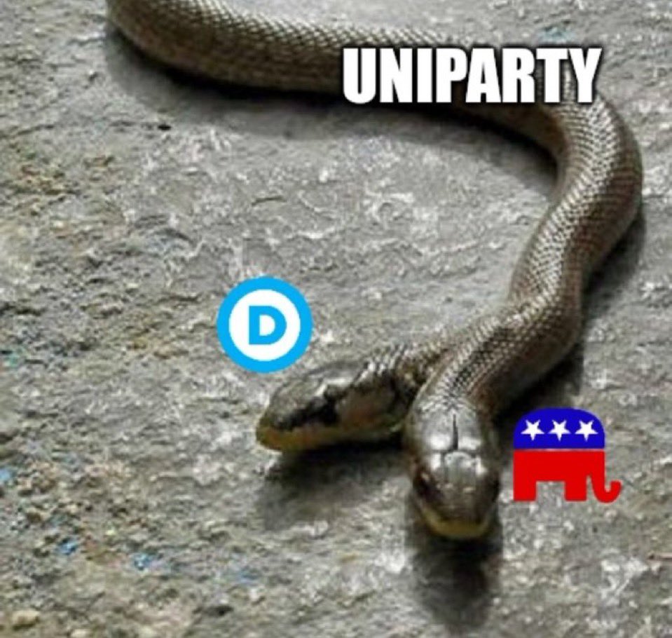 Anna Paulina Luna (@realannapaulina) on Twitter photo 