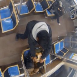 EndWokeness's tweet image. Charlotte, NC                 Chicago, IL
14 prior arrests              49 prior arrests

Both were white women minding their own business on their phone. In both incidents, passengers didn&apos;t help.