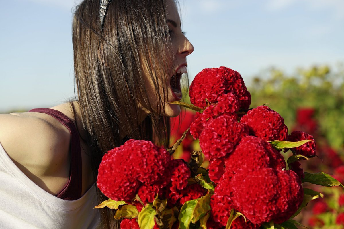 PKMNAttica's tweet image. Why be normal when you can be ✨weird✨? 🖤