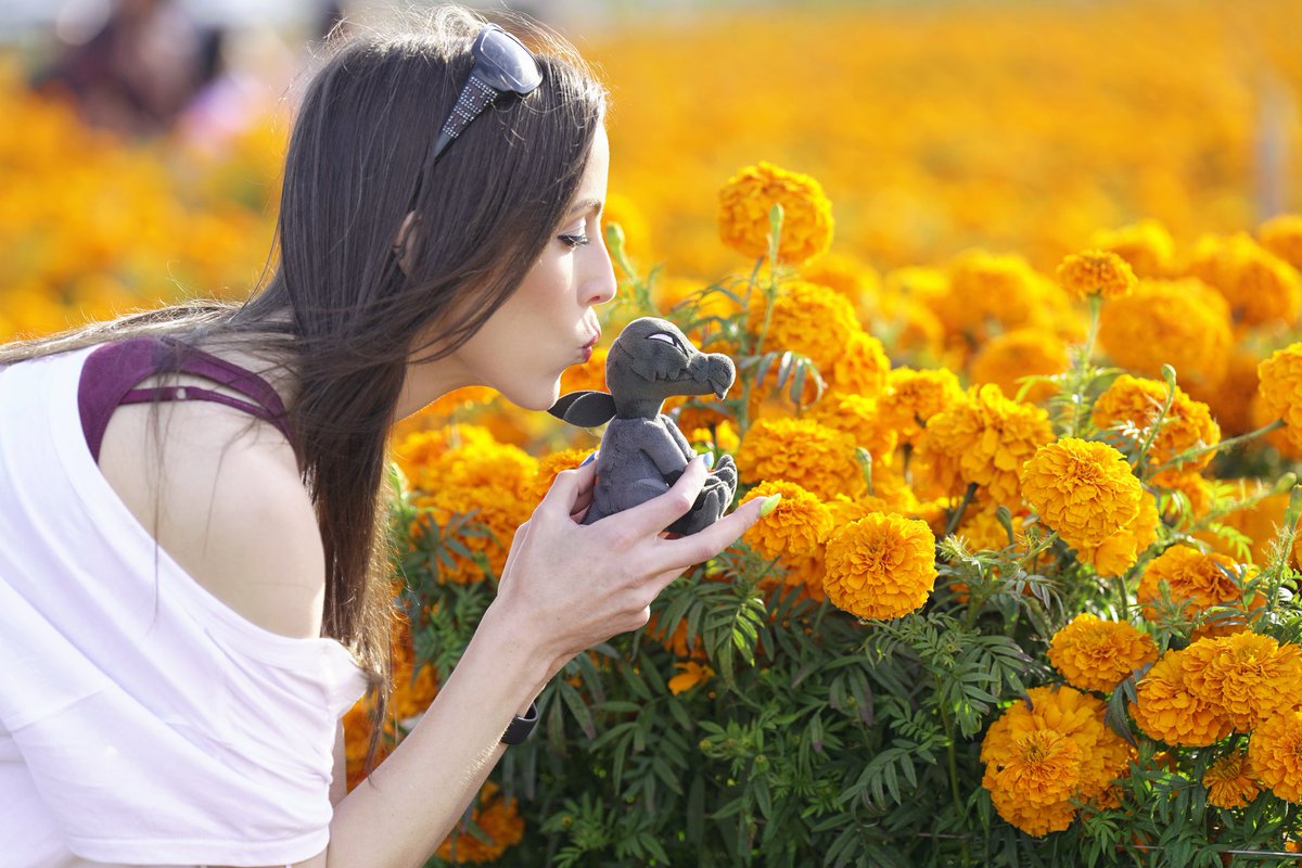 PKMNAttica's tweet image. Why be normal when you can be ✨weird✨? 🖤