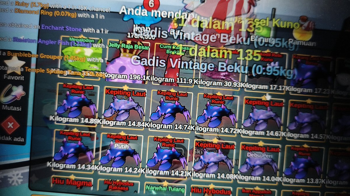 akun kecil panen kpiting gndud 😭 SIAPA MAU????