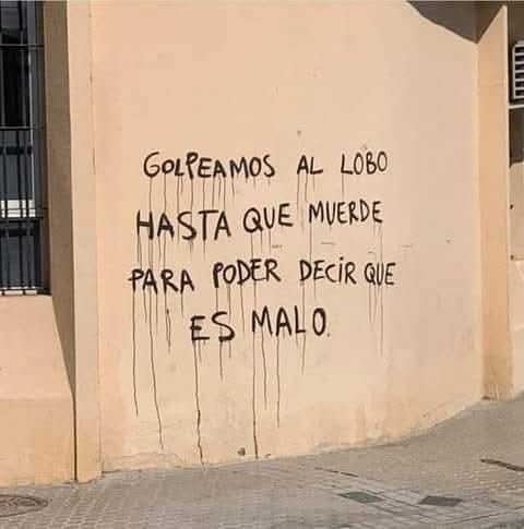 carlosjavierlu's tweet image. 